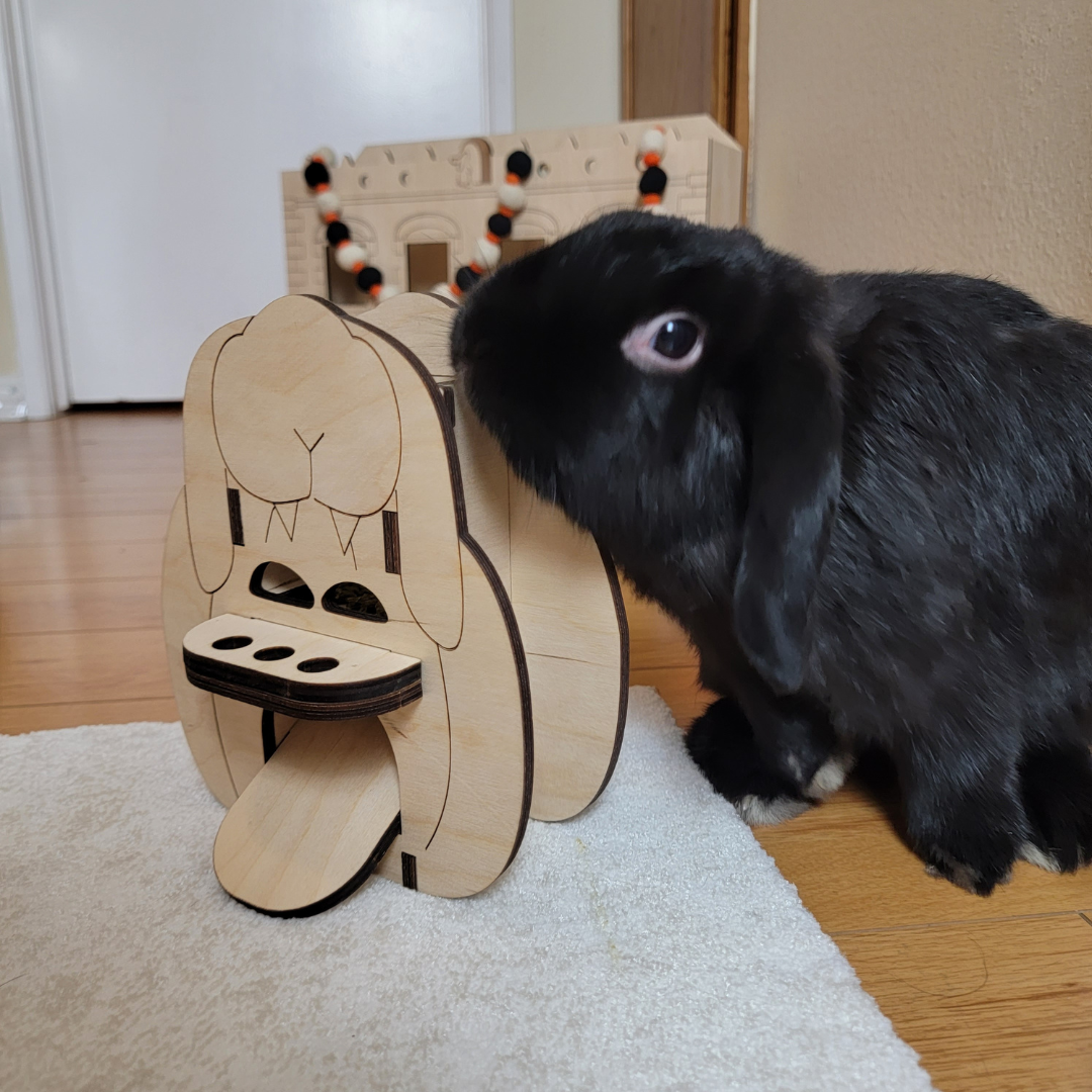 What Kind of Toys Do Rabbits Like?