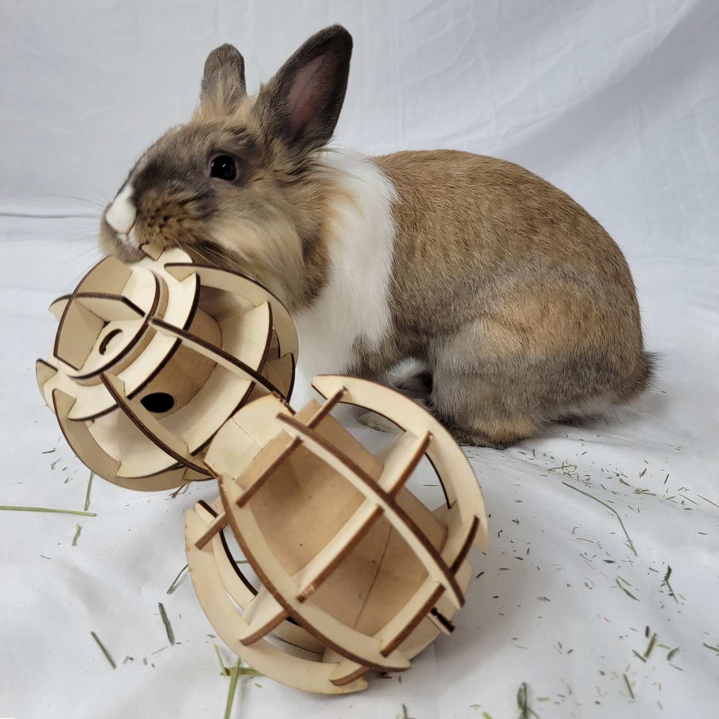 Puzzle Treat Ball