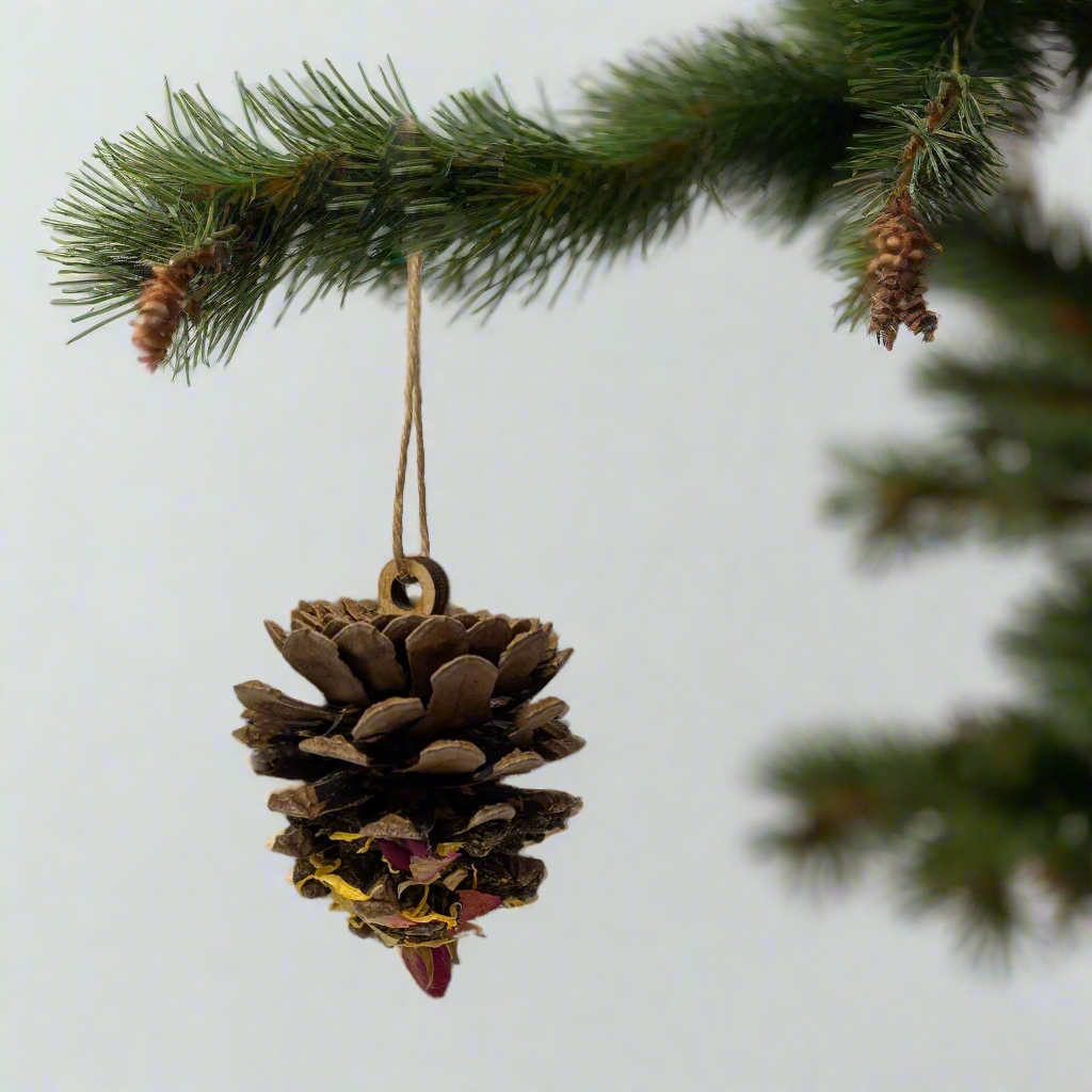 Bliss Pine Cone Tree
