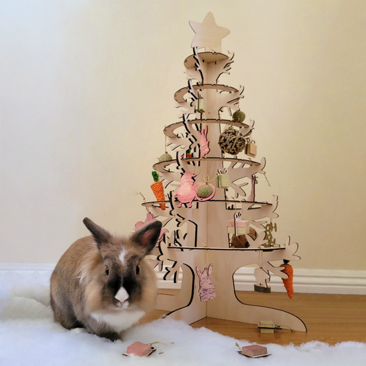 Edible Christmas Tree