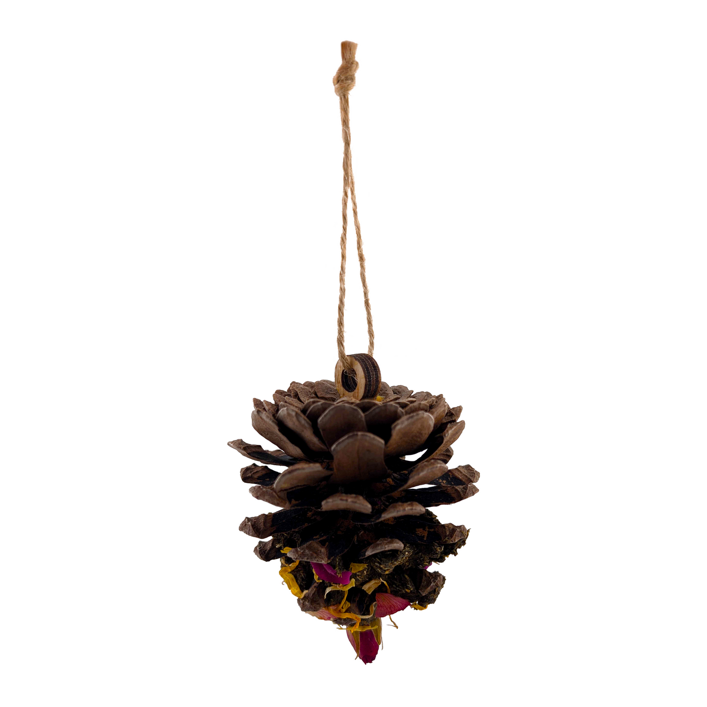 Bliss Pine Cone Tree