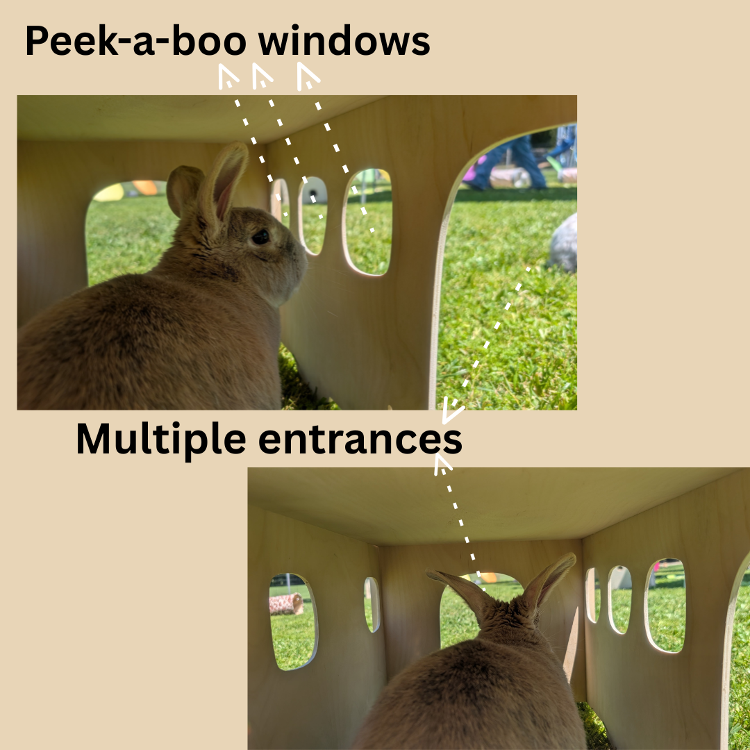 bunny bus hideout, wooden rabbit hideout, bunny playhouse with hay feeder, chew-safe rabbit toy, Baltic birch bunny house, rabbit enrichment hideout, bunny furniture, inbuilt hay feeder for rabbits