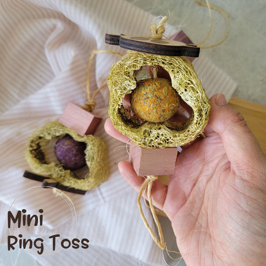 Mini Ring Toss