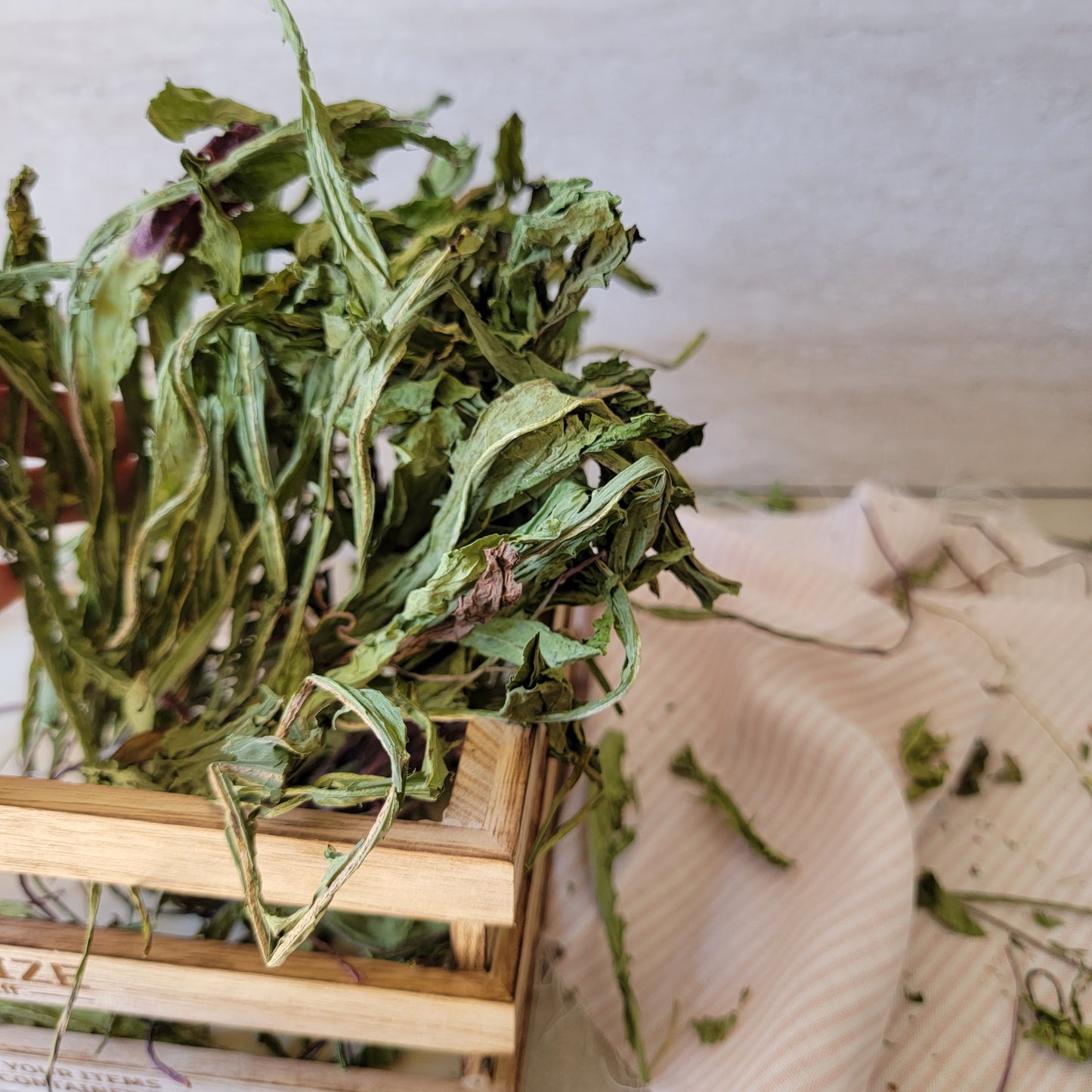 Dried Dandelion for Small Animals