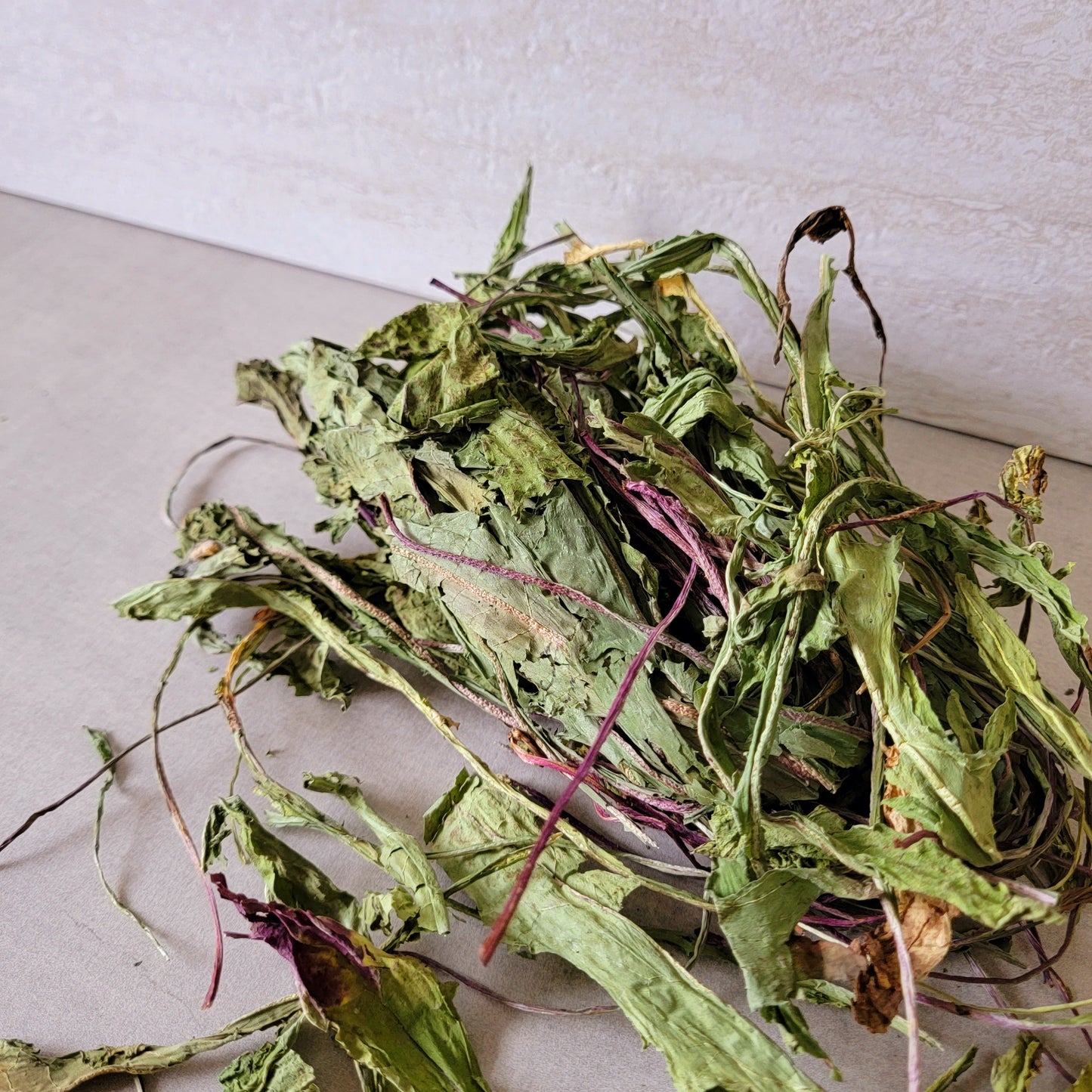 Dried Dandelion for Small Animals