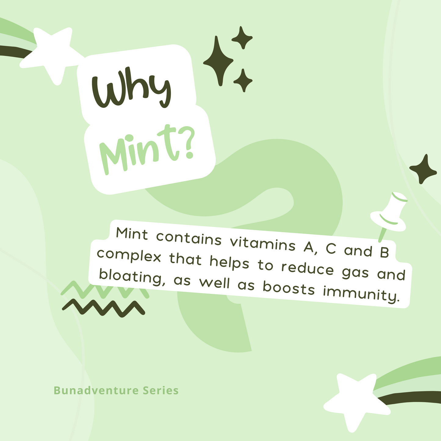 Dried Mint