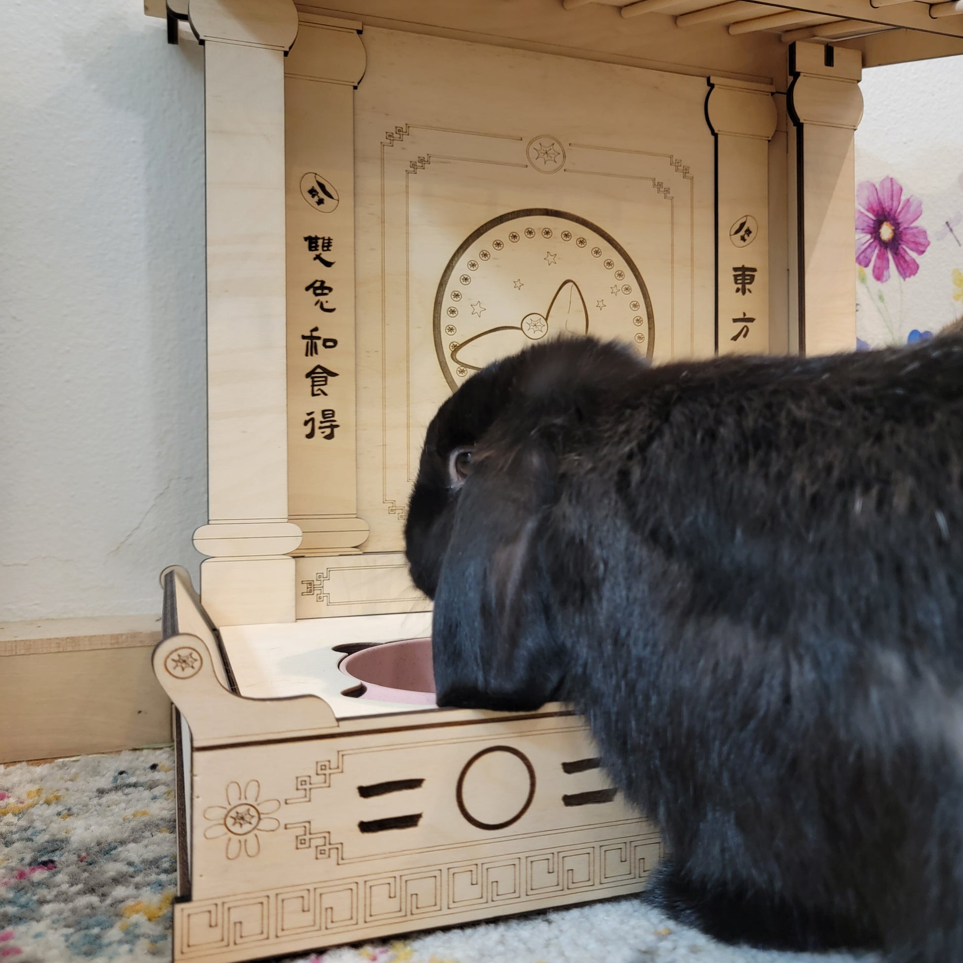 Rabbit feeding station