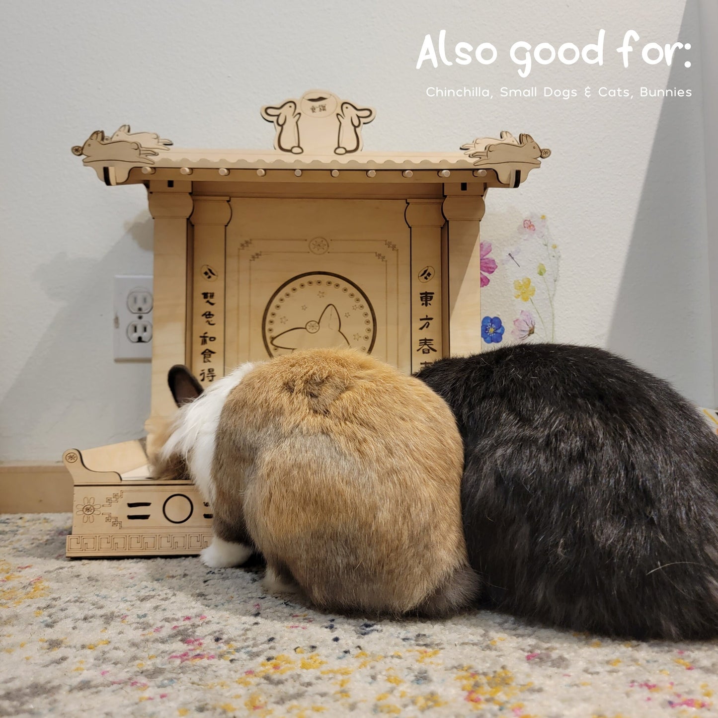 Rabbit Food Dish
