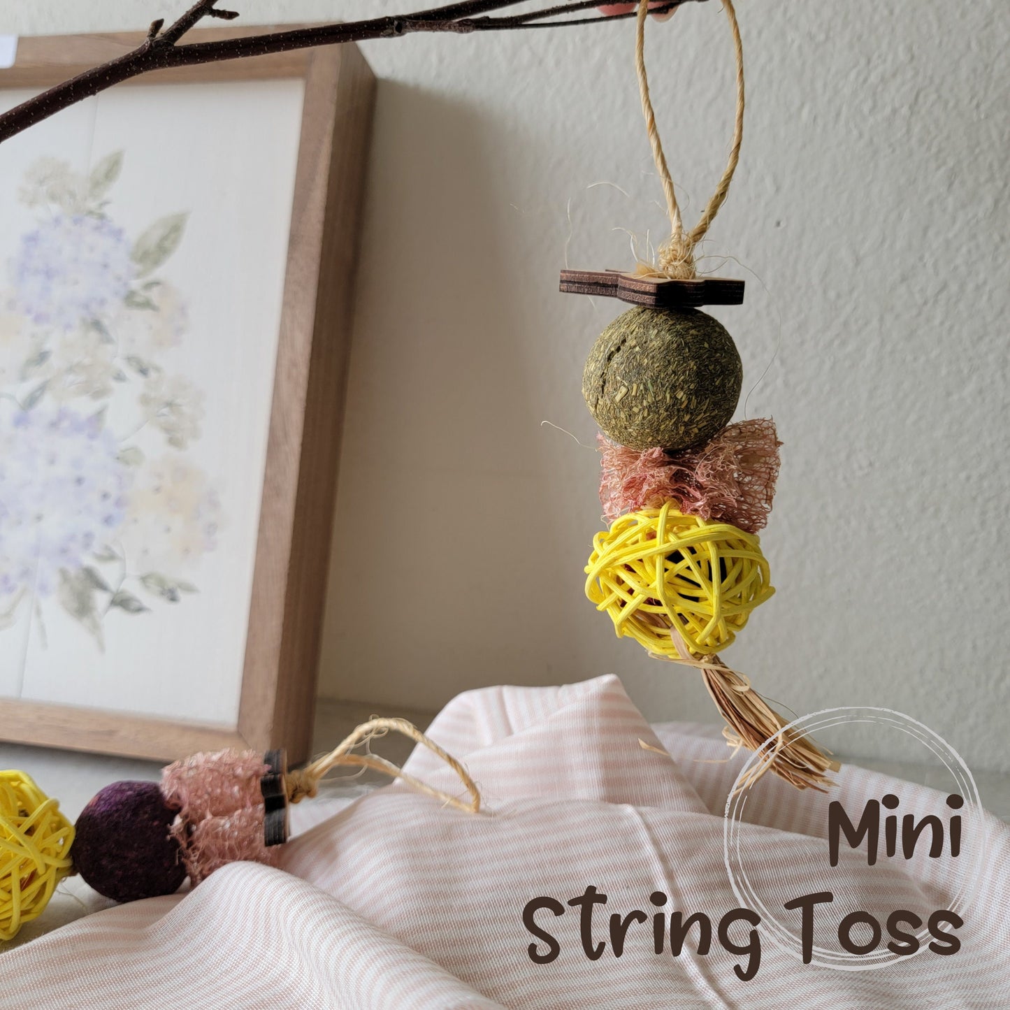 Mini String Toss