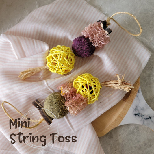Mini String Toss