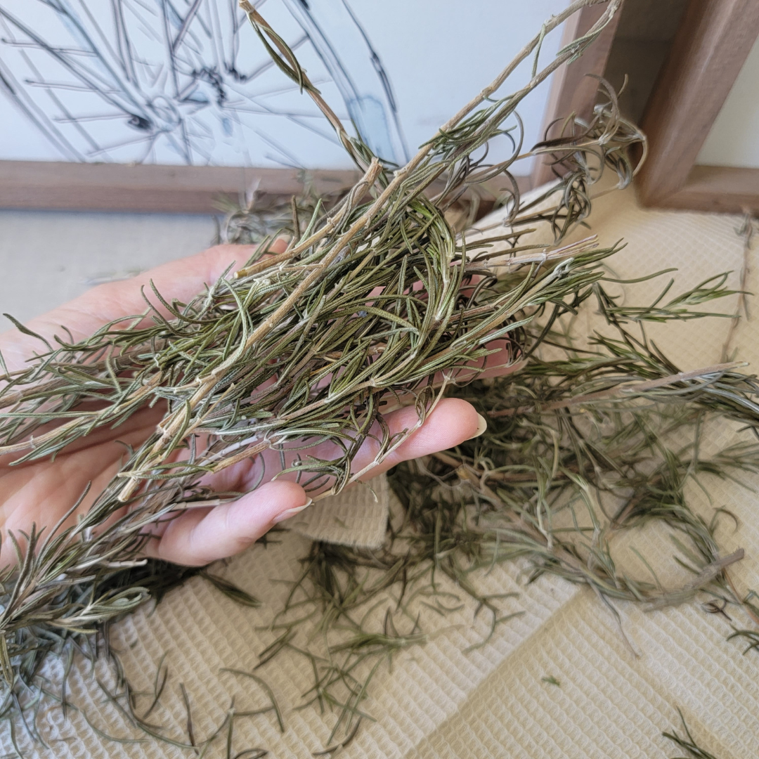 Dried Rosemary for Small Animals