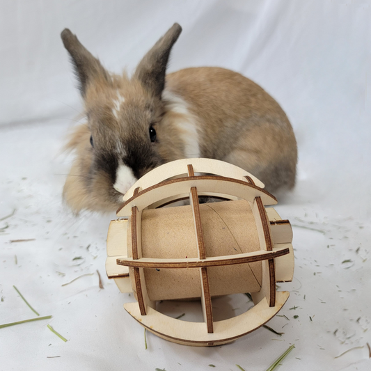 Puzzle Treat Ball