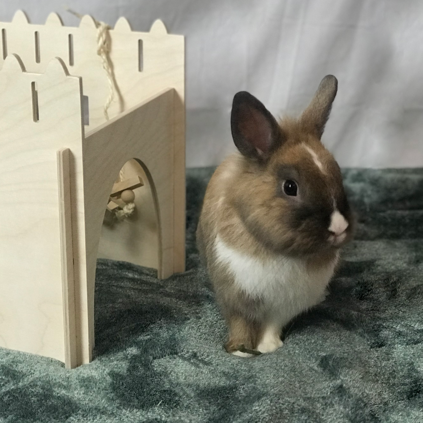 Special Deluxe Edition Hideout