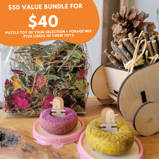 Forage Puzzle Toy & Forage Mix Bundle for Small Animals