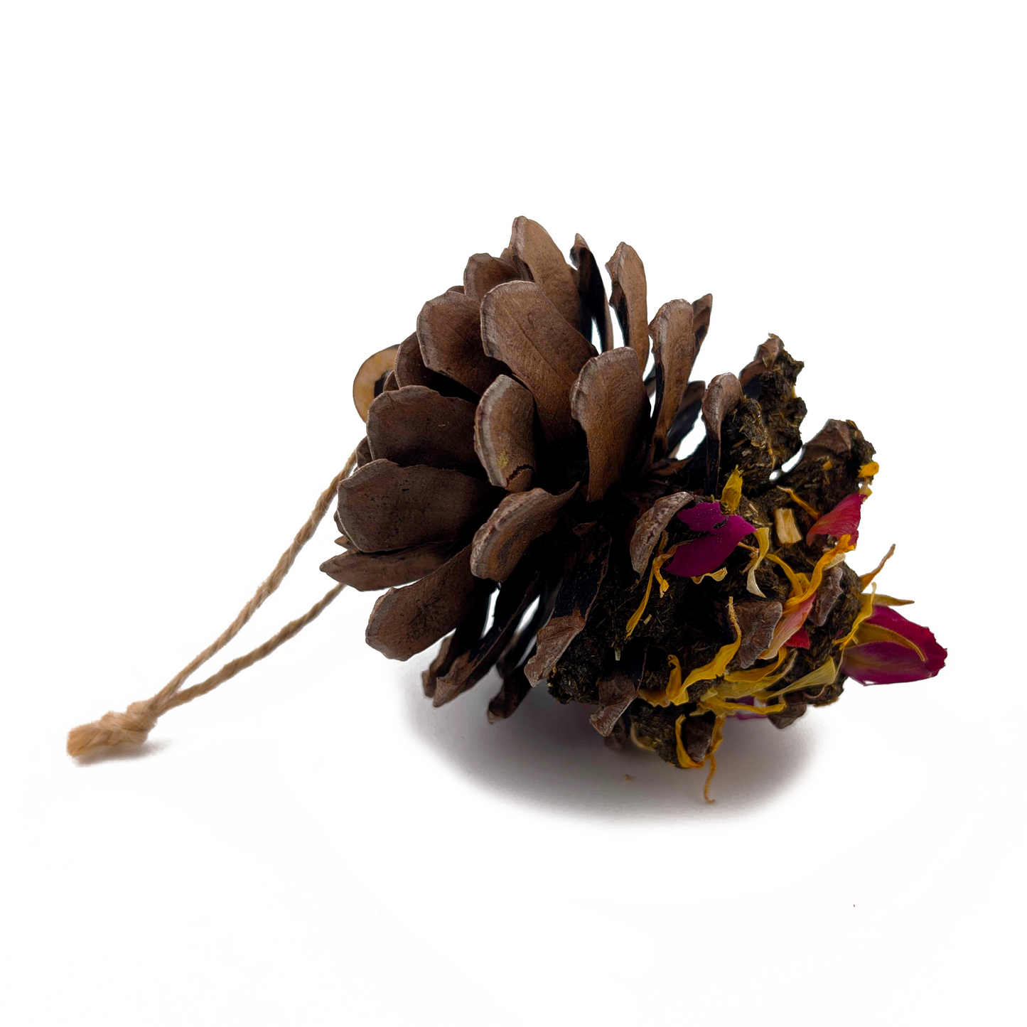 Bliss Pine Cone Tree