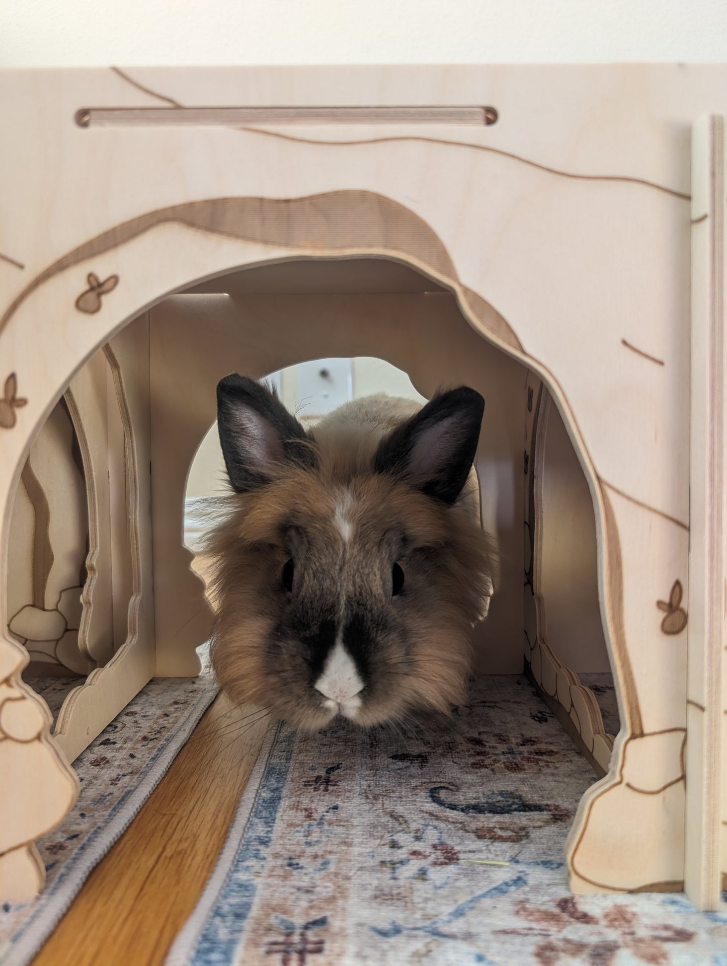 The Labyrinth | Modular Tunnel Hideout For Bunnies and Small Pets