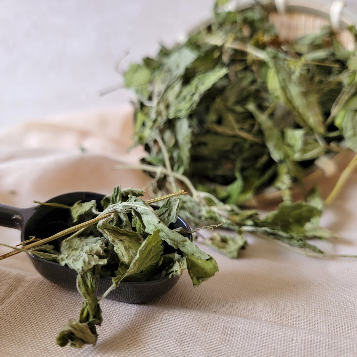 Dried Mint Herbs for Small Animals