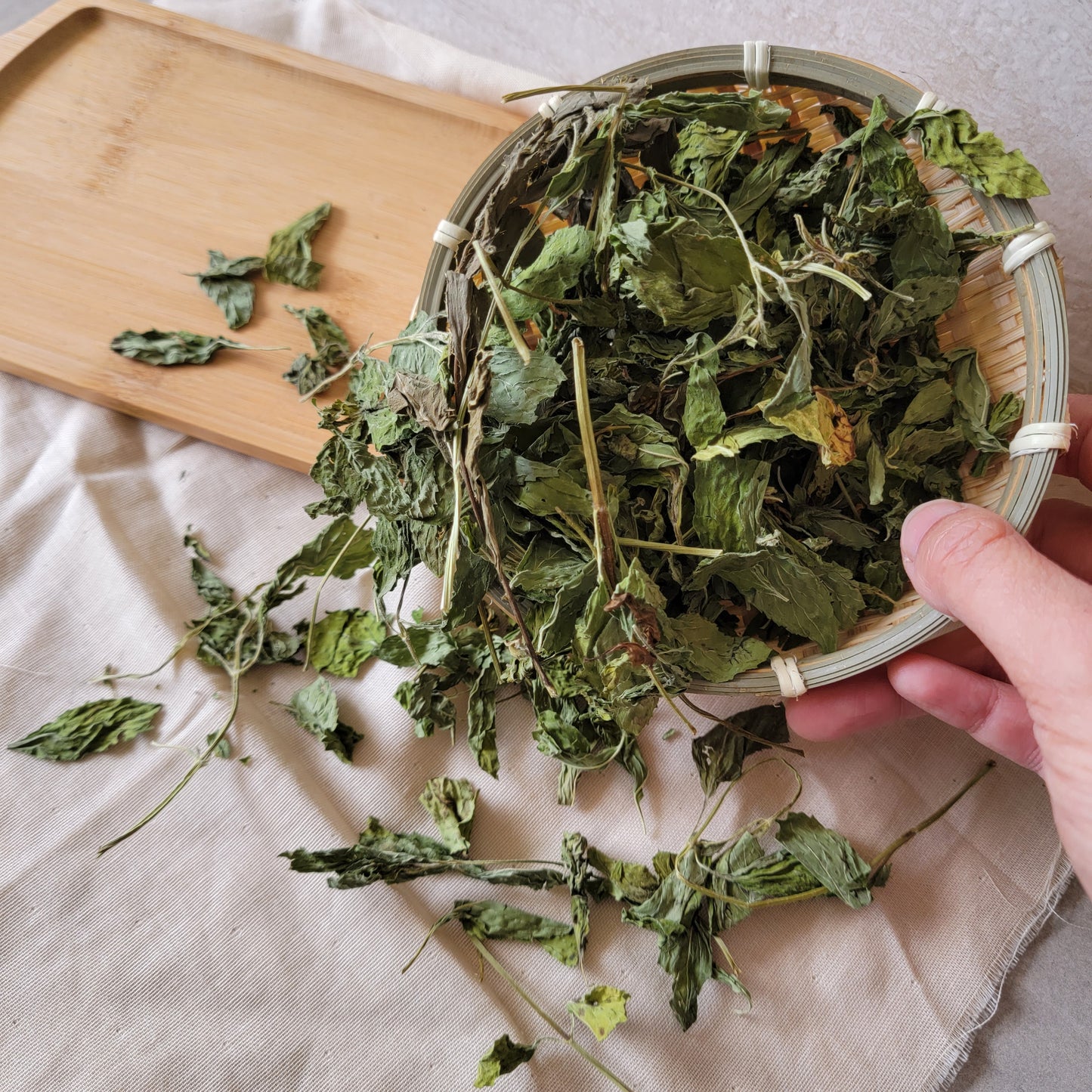 Dried Mint Herbs for Small Animals