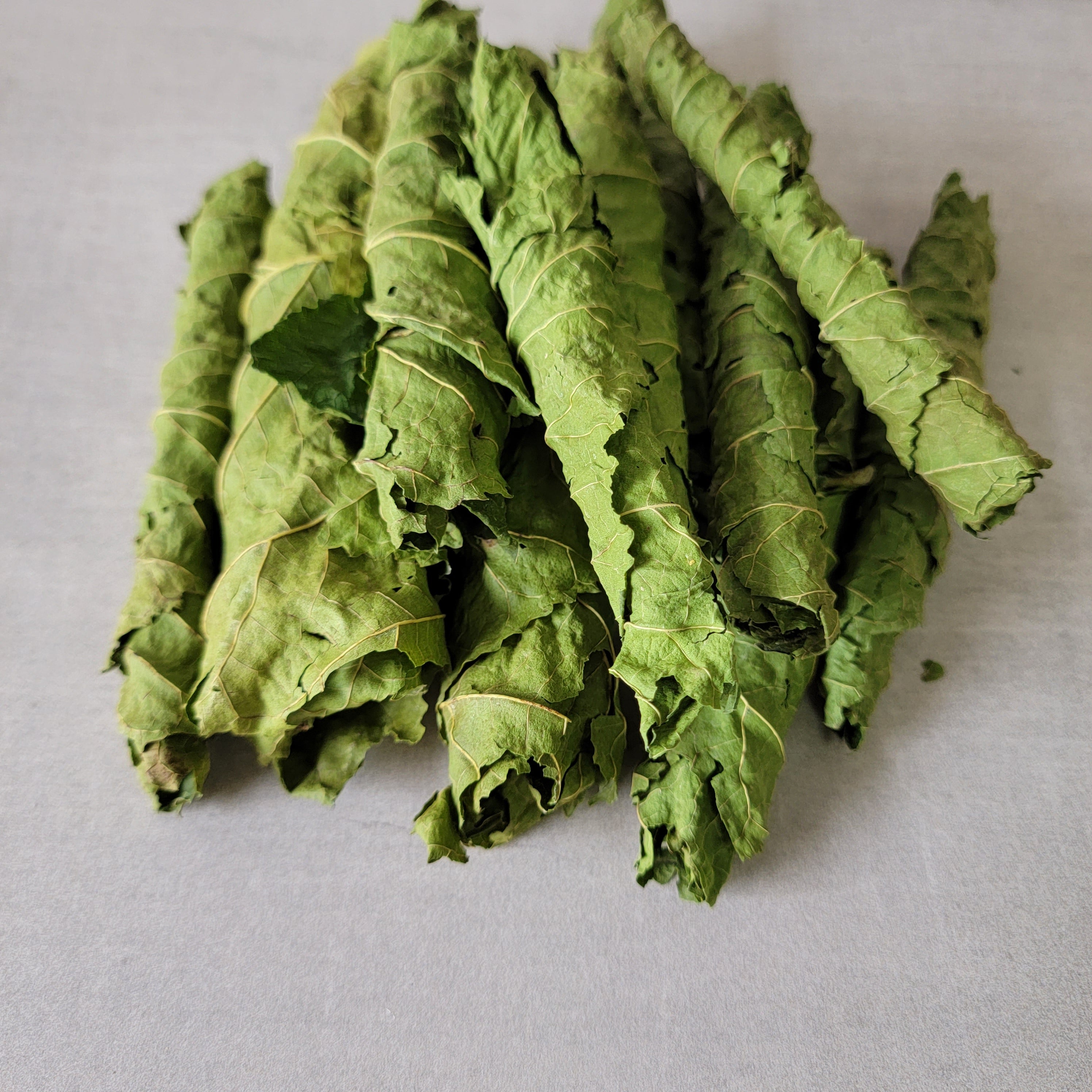 Benefits of mulberry discount leaves for rabbits