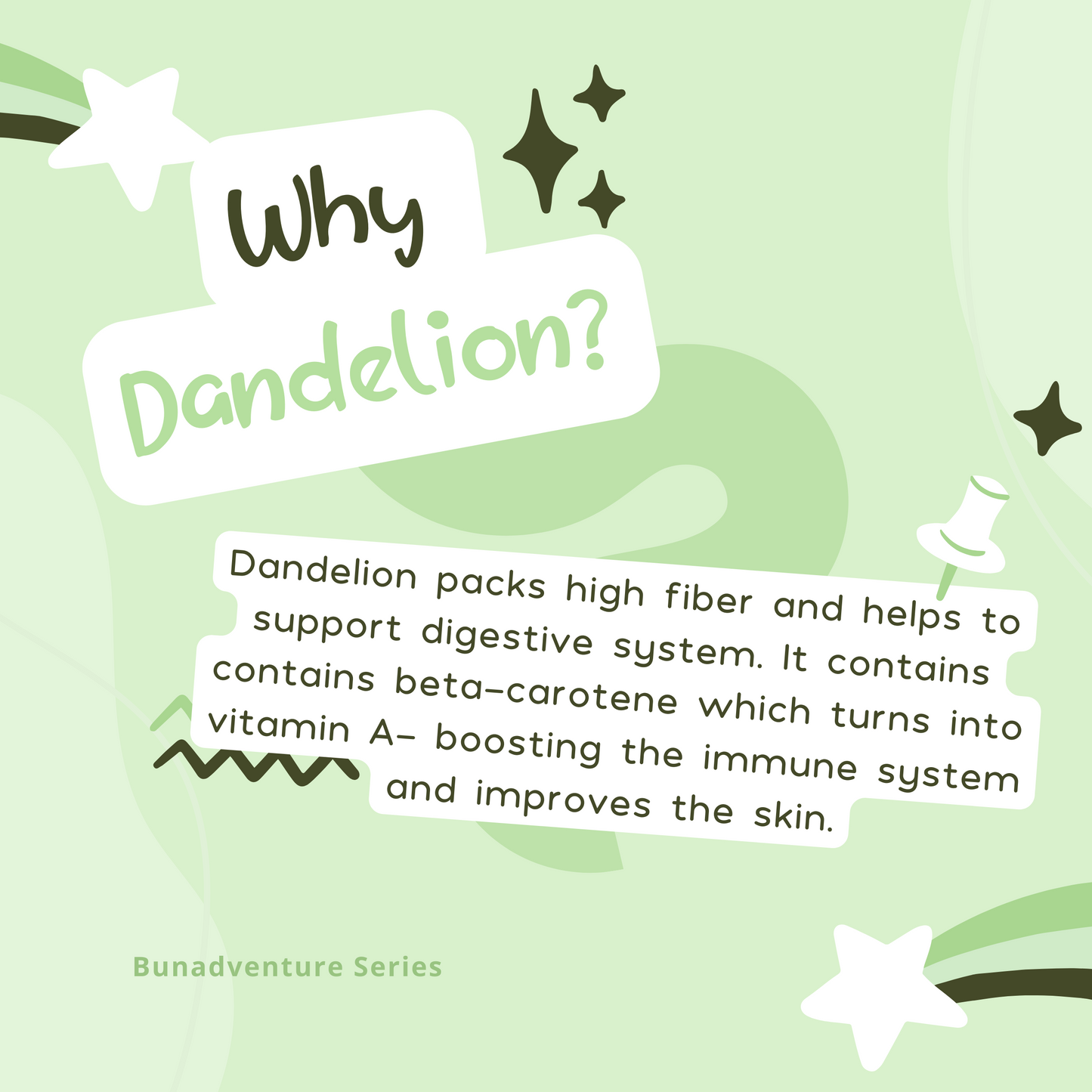 Dried Dandelion for Small Animals