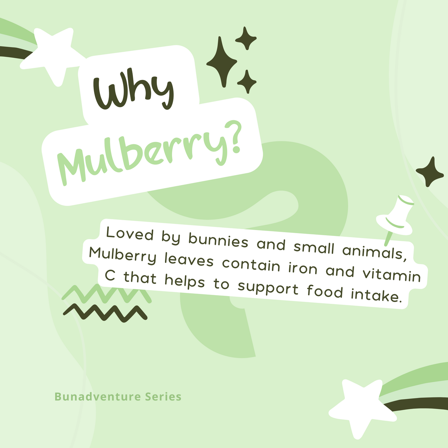 Dried Mulberry Rolls for Small Animals