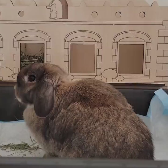 Large Rabbit Hay Feeder with Litter Box