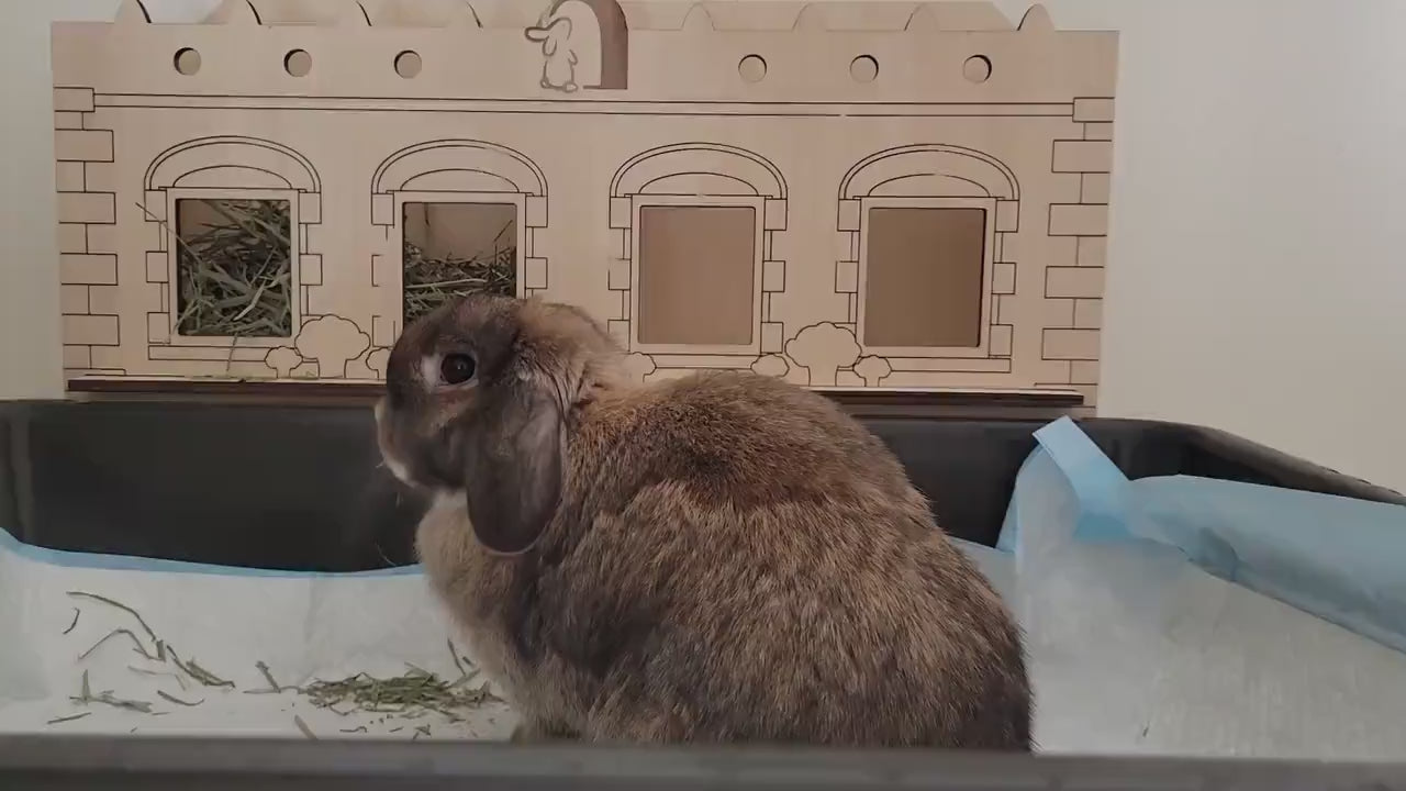 Large Rabbit Hay Feeder with Litter Box