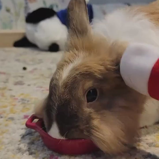 Rabbit Christmas Tree Toy, Christmas gift for pet rabbits.