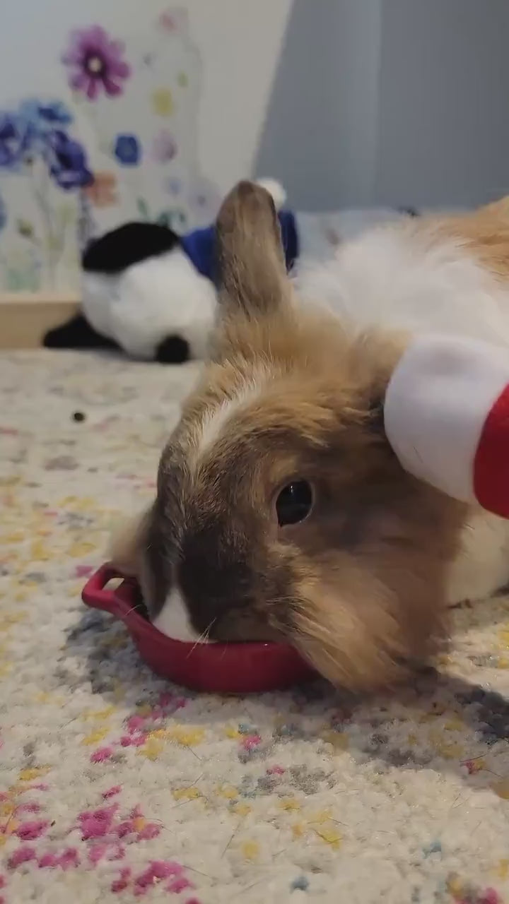 Rabbit Christmas Tree Toy, Christmas gift for pet rabbits.