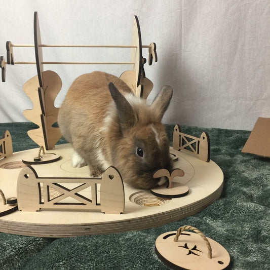 Rabbit forage garden toy.