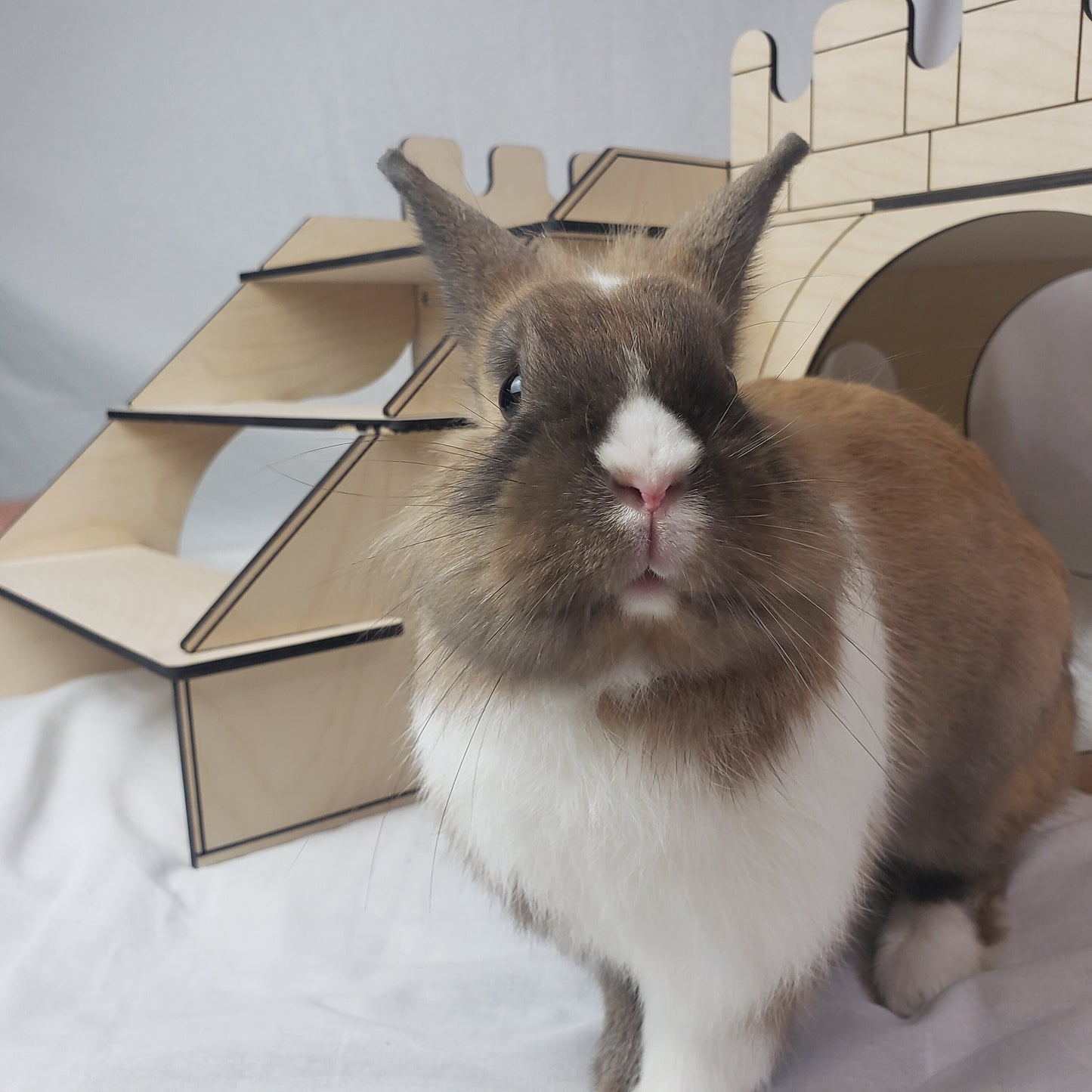 Jumbo Bunny Castle