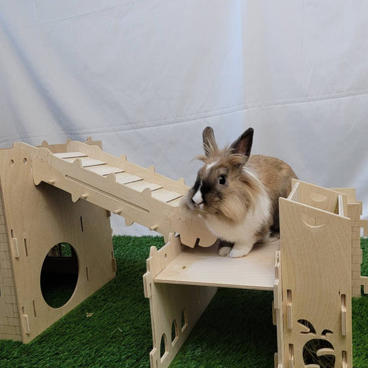 Rabbit Castle 