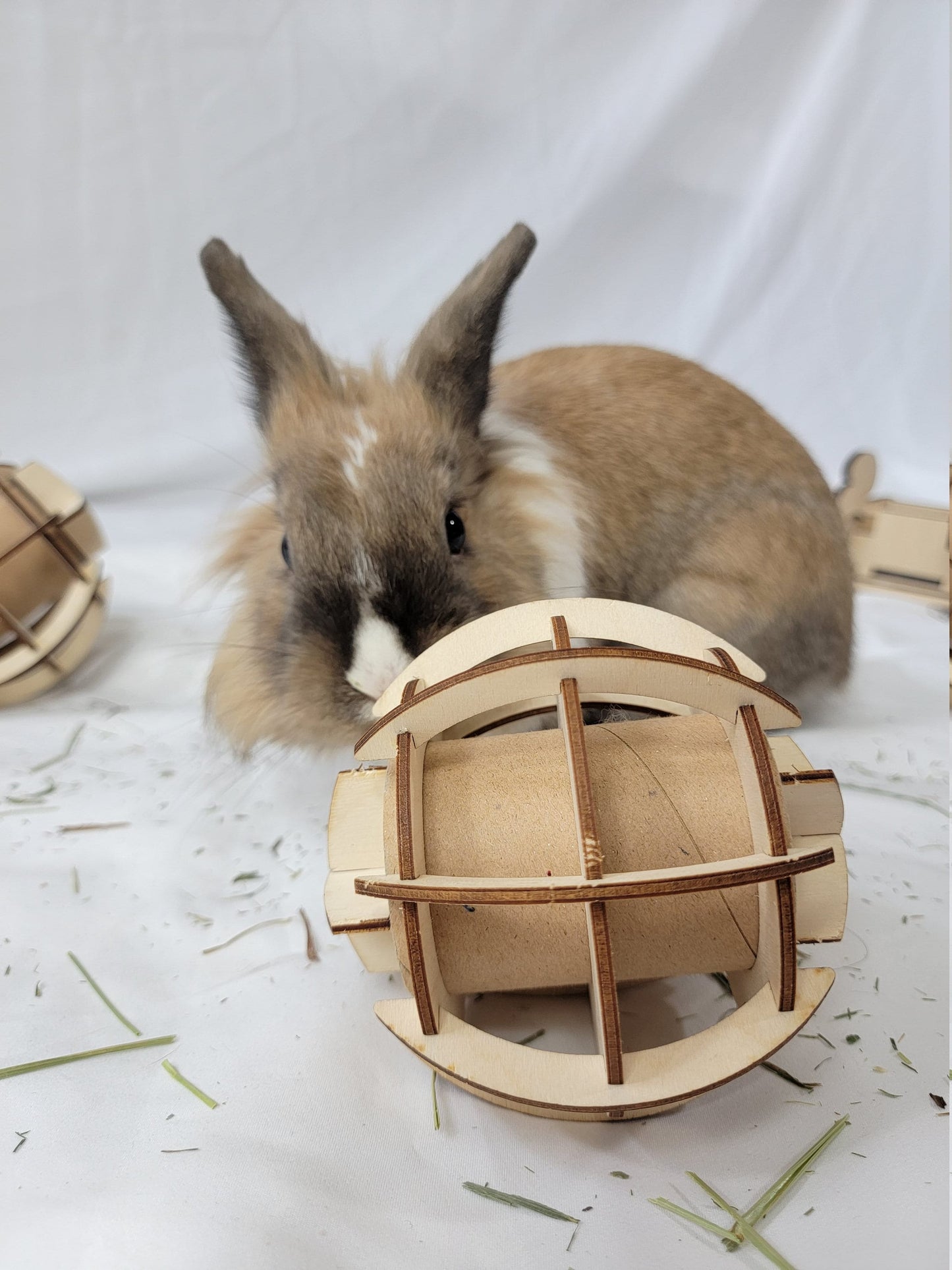 Rabbit Puzzle Treat Ball