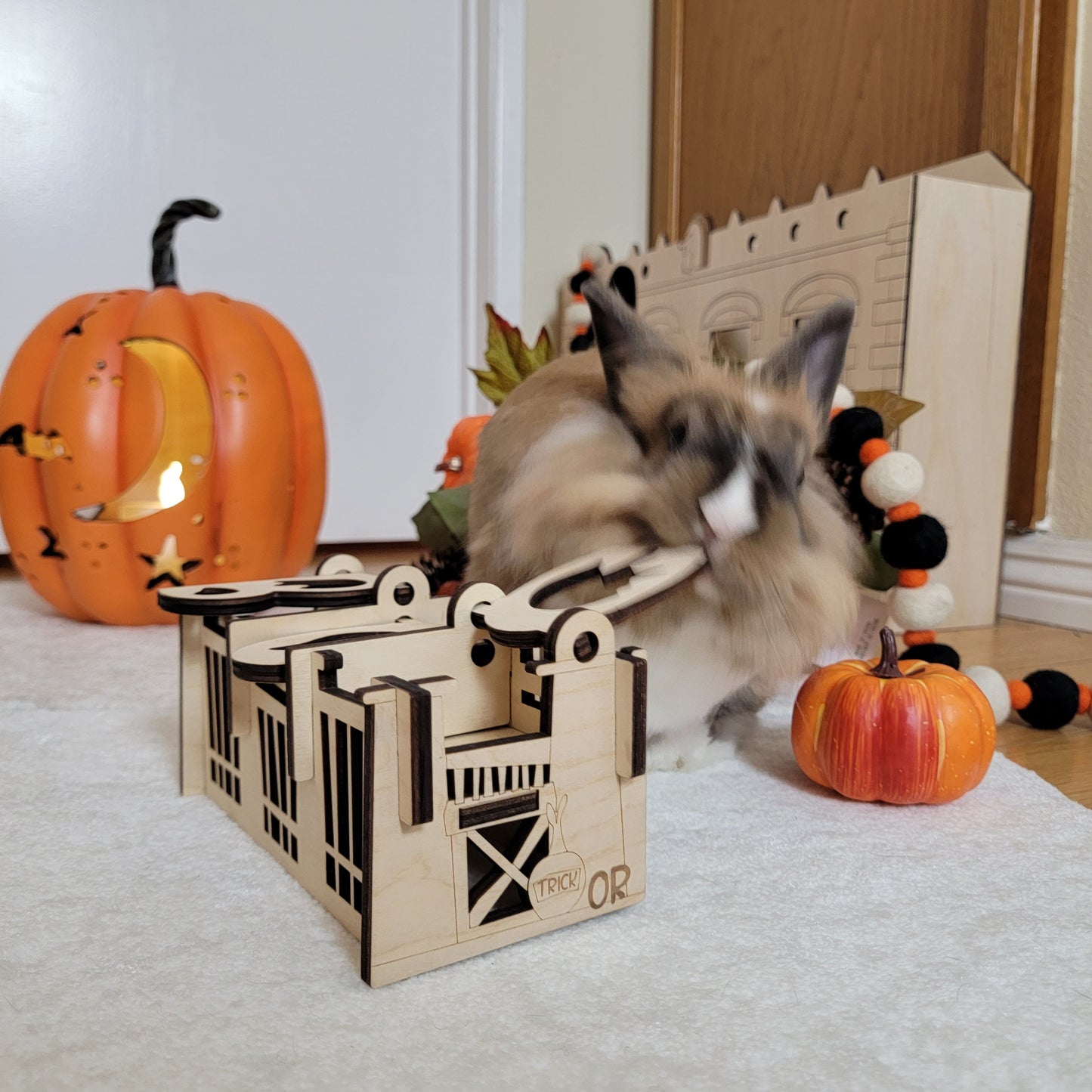 Halloween Trick or Treat Series Boo Flip Box. Bunny Enrichment Puzzle Box