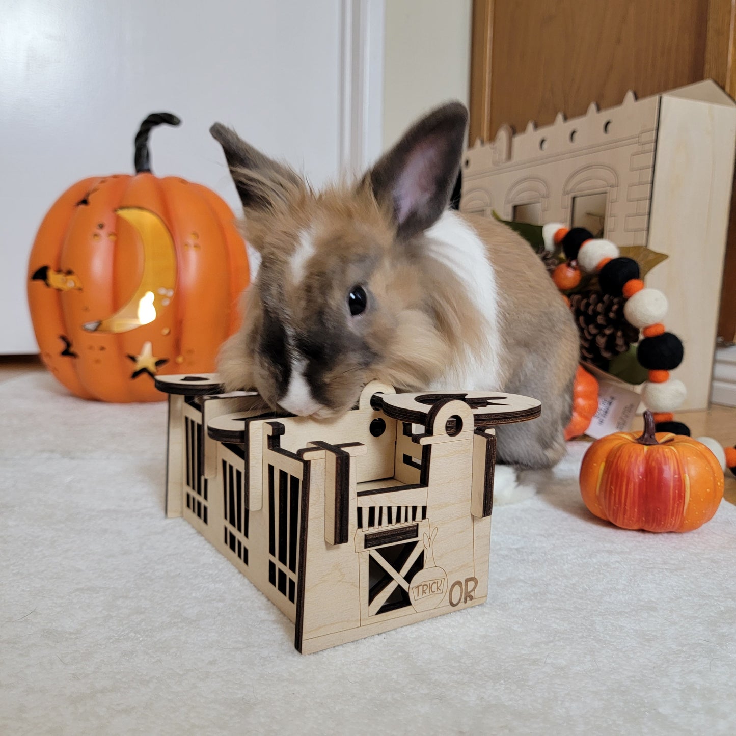 Halloween Trick or Treat Series Boo Flip Box. Bunny Enrichment Puzzle Box