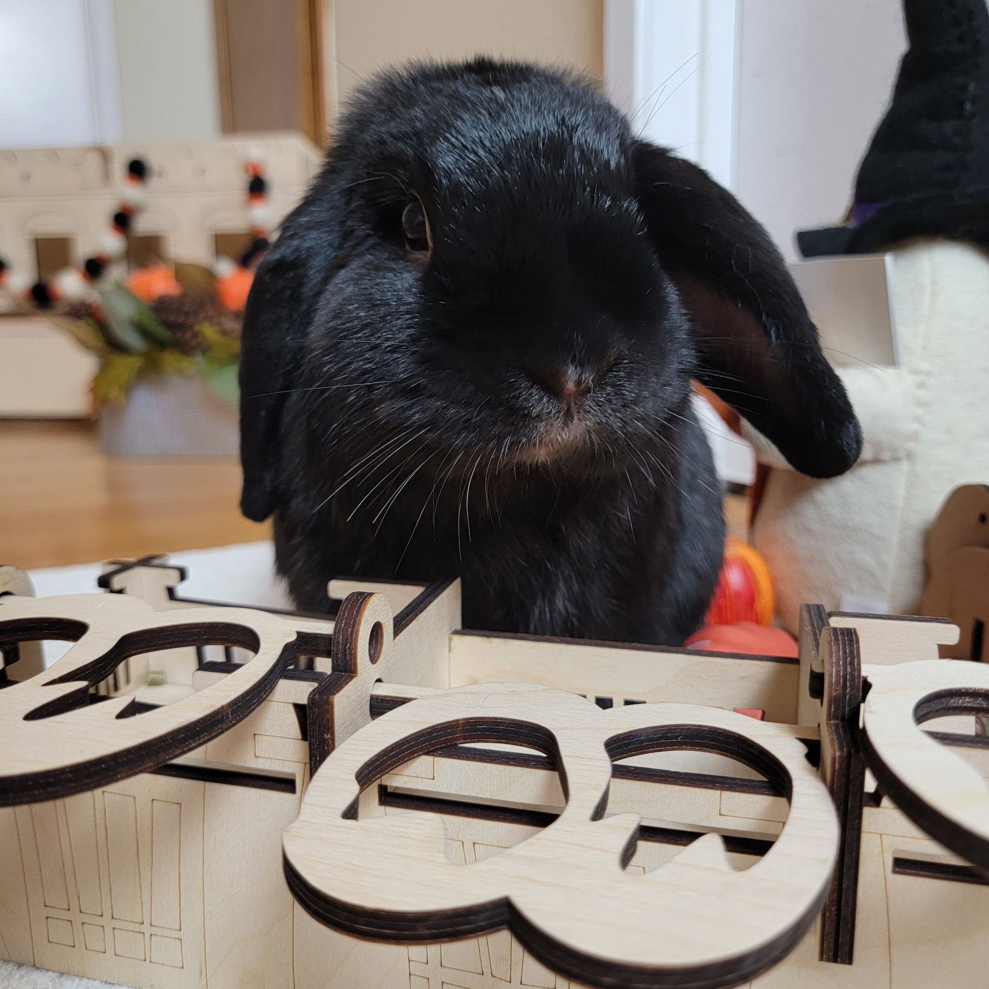 Rabbit Treat puzzle - Toy for rabbit - Rabbit Supply - Flop Bunny
