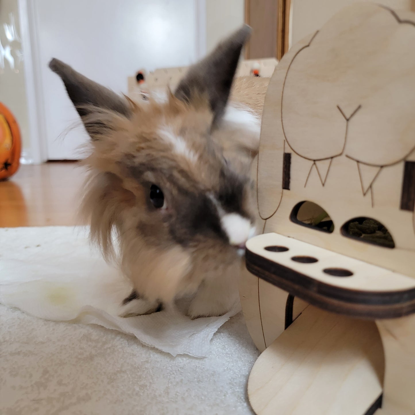 Halloween Trick or Treat Series- Vampire Bunny Treat Dispenser Bunny Enrichment Puzzle Toy
