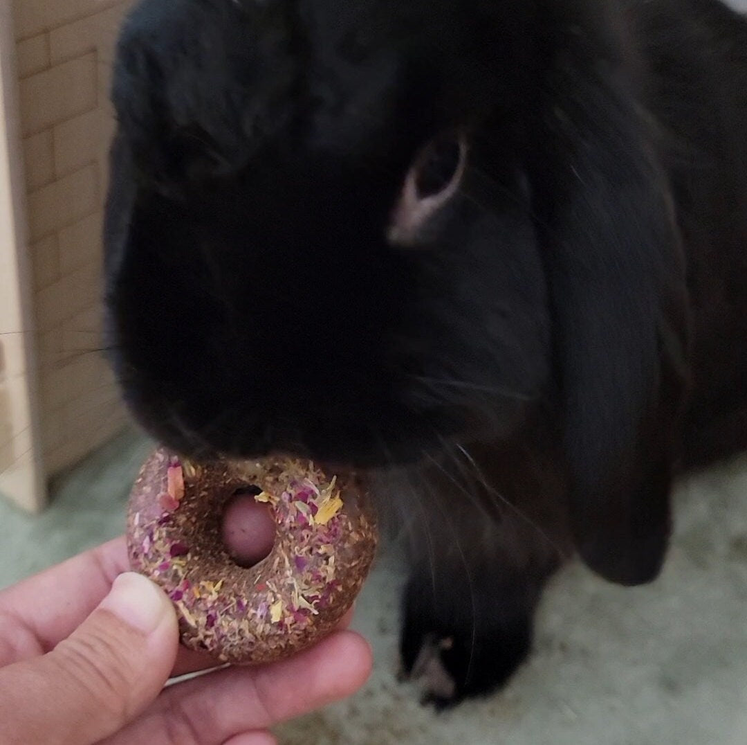 Rabbit Treat