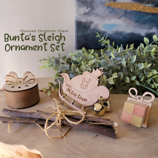 Small Animal Flavored Christmas Ornament Chew "Bunta's Sleigh" Ornament Set