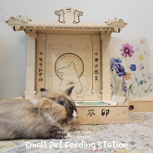 Small Pet Feeding Station