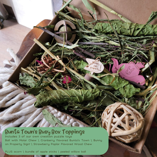 Rabbit forage box